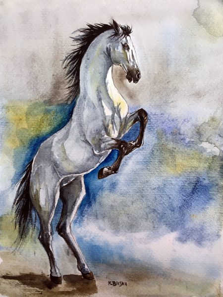 biały koń
